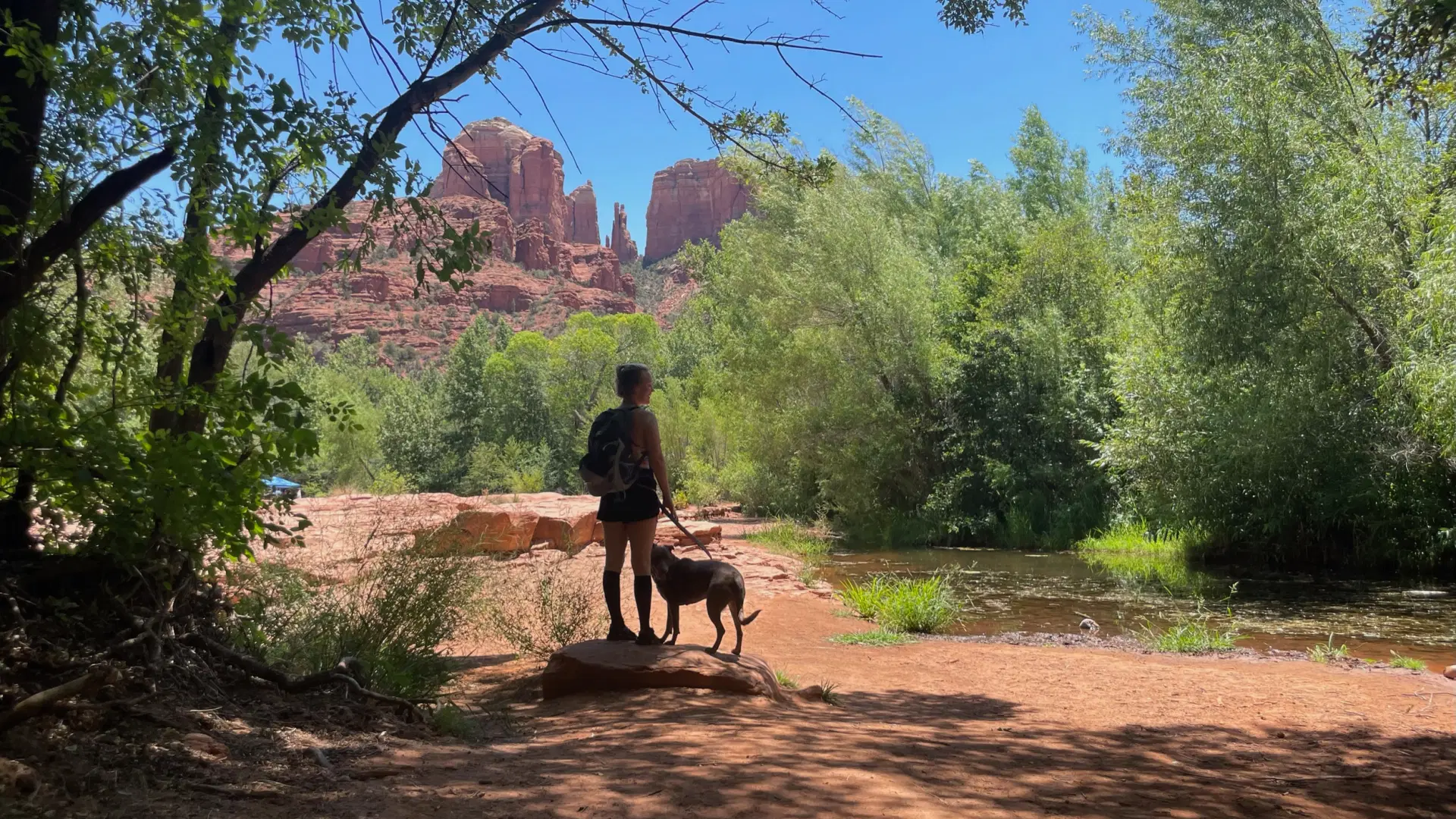 A person standing with a dog along a creek in a forest with red rock formations in the background under a blue sky.
